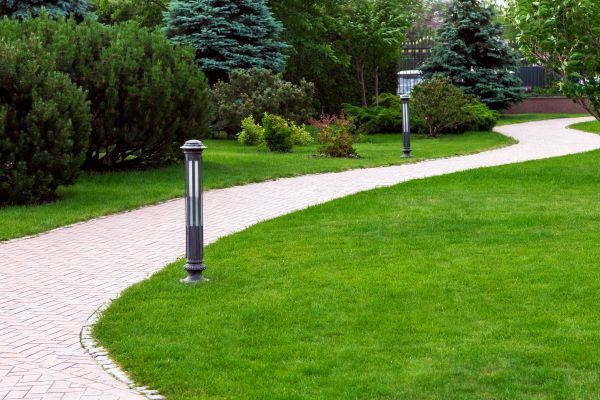 Backyard Sidewalk Installation in Sandy
